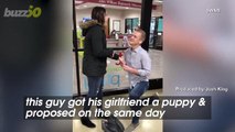 Puppy Love! A Man Got His Girlfriend A New Puppy, He Then Proposed!