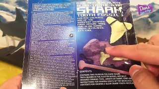 GREAT WHITE SHARK TOY TOOTH FOSSIL - Glow in the dark excavation kit