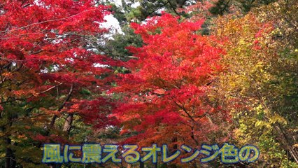 2017-20歳めぐり逢い（シグナル）_01