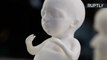 Expecting Mothers Can Now Print 3D Models of Their Unborn Child