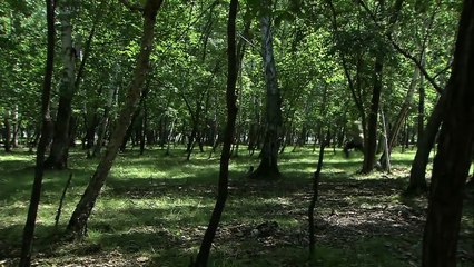 励志剧《知青》03主演 傅晶 苏茂洋 程皓枫 王凯