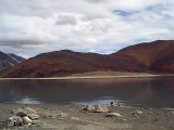 Pangong Tso Lake in Ladakh