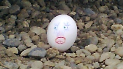 24. Egghead our hero gets tired. lol. this is too funny .