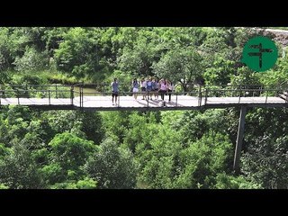 Bangkok's 'Other' City Jungle