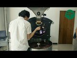 Bangkok's Artisanal Coffee Roaster