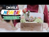 Soimilk Newbie : Castus Cake