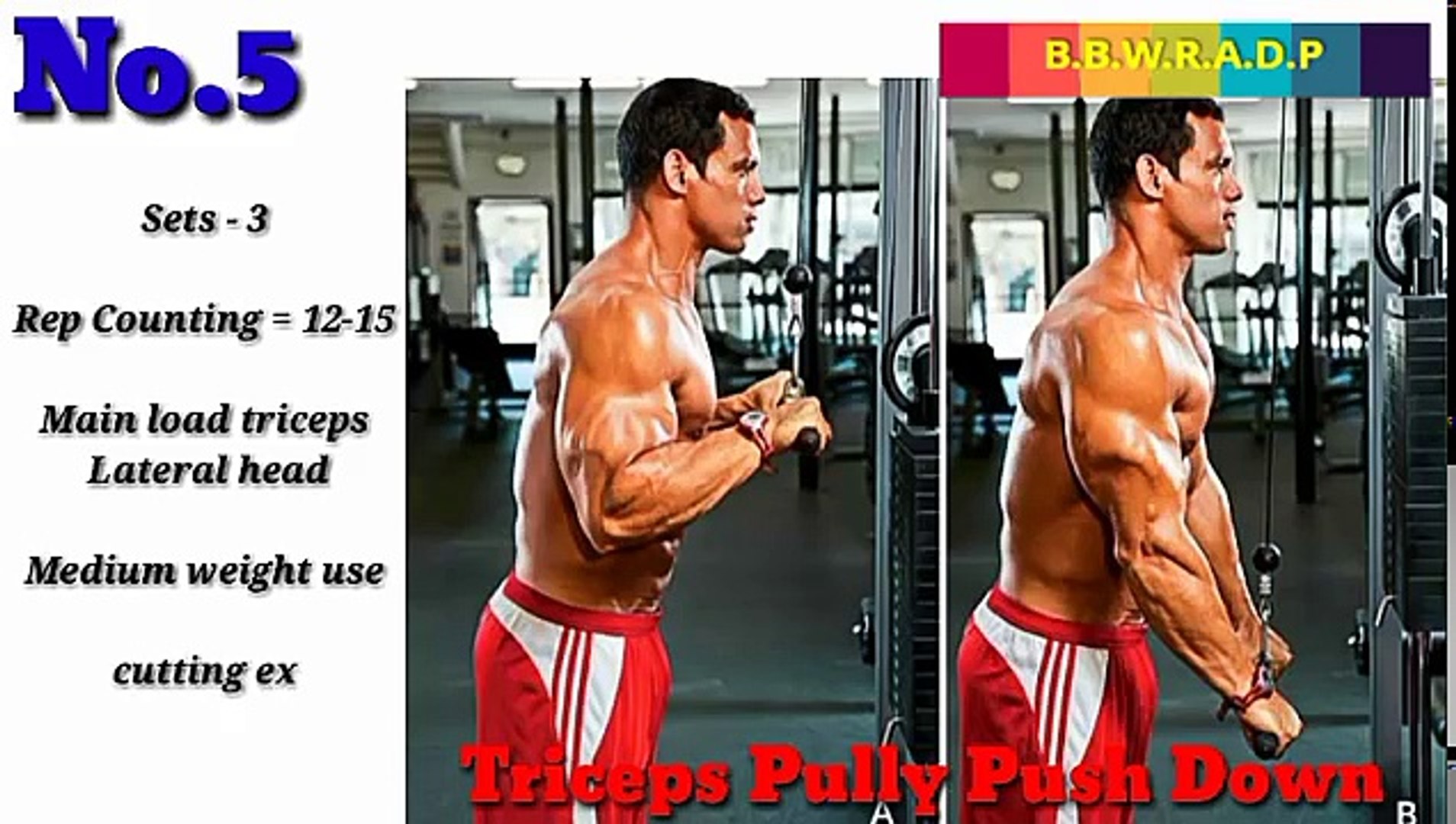⁣Arms size gain workout/biceps size gain workout/best arms workout/full arms workout plan