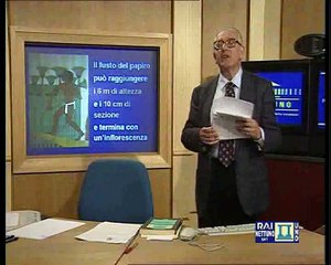 Codicologia - Lez 04 - Il papiro, dalla pianta al rotolo commerciale