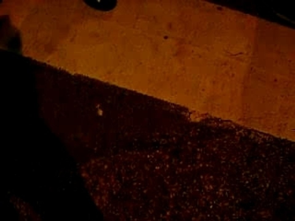 Debut de soirée a la gare 2