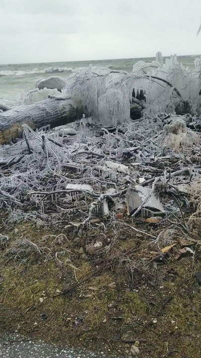 Winter Wonderland at Point Pelee Provincial Park