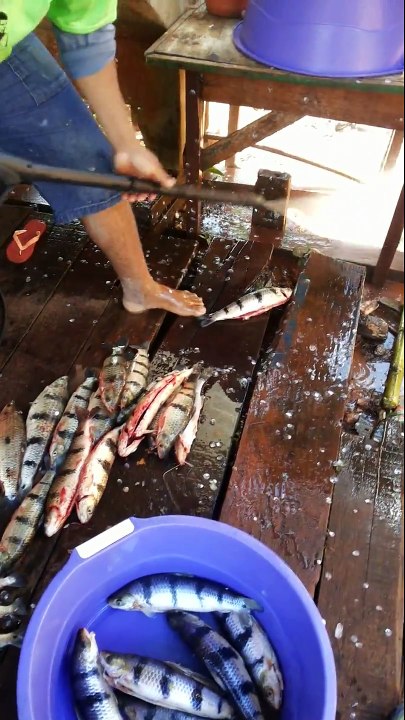 Il nettoie ses poissons au karcher... Efficace!!!