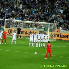 Goals recorded by fans from stadium