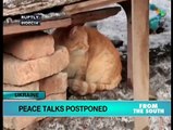 Ukraine peace talks postponed over renewed violence