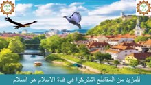 # الاسلام