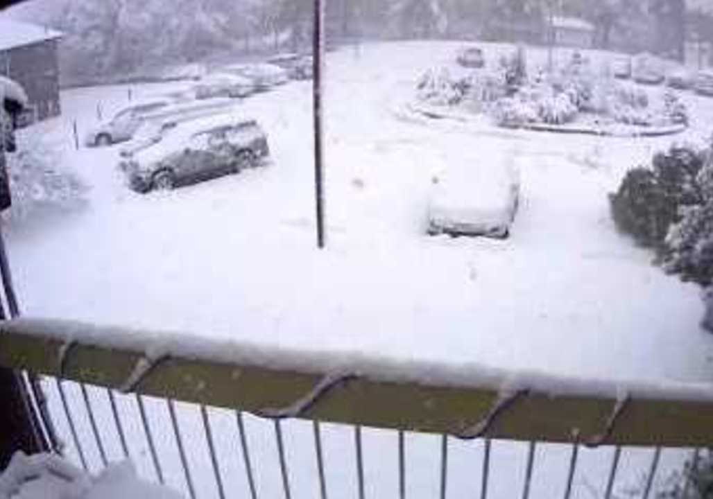 Tree Branches Collapse Under Heavy Snow in Edgewater Park