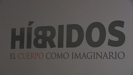 Hibridación, la experimentación en el arte para buscar la propia identidad (V)