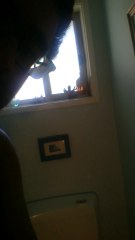 Zabo Ran Out Of Toilet Paper!