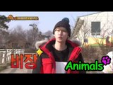 [Animals] 애니멀즈 - Lama's spit VS Eun-huk! 은혁, 라마 침이랑 붙어볼까?! 20150322