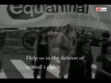 Dia de los derechos de los animales - animal day rights