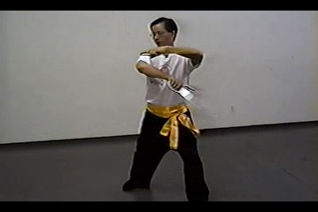 Wing Chun with Terence Yip Bart Cham Dao Form Part 10