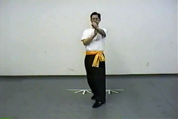 Wing Chun with Terence Yip Basic Techniques 1 Part 6