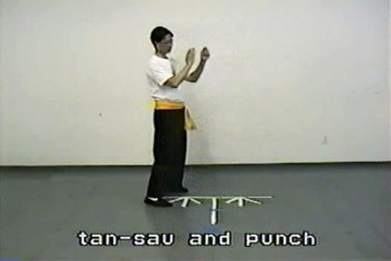 Wing Chun with Terence Yip Basic Techniques 1 Part 7