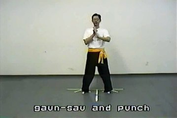 Wing Chun with Terence Yip Basic Techniques 1 Part 8