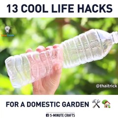 Smart hacks to make your home garden look beautiful!￼via Thaitrick, youtube.com/thaitrick