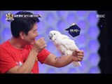 [Ranking Show 1,2,3] 랭킹쇼 1,2,3 - Hello. It's a parrot. 20171013