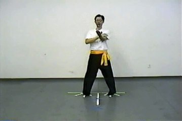 Wing Chun with Terence Yip Basic Techniques 1 Part 11