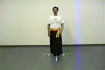 Wing Chun with Terence Yip Basic Techniques 1 Part 12