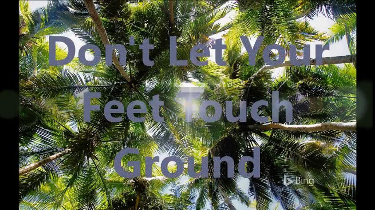 Don't Let Your Feet Touch Ground (September 2009 - November 2009)