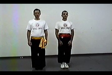 Wing Chun with Terence Yip Basic Techniques 2 Part 5