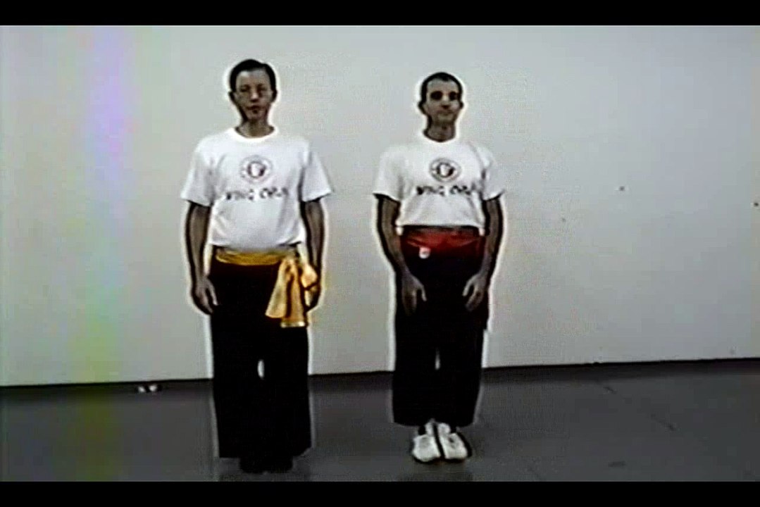 Wing Chun with Terence Yip Basic Techniques 2 Part 5