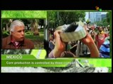 Interviews From Mexico - Agriculture and Energy Reform