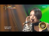[Duet song festival] 듀엣가요제 - Cheetah & Kang Dongwon, 'LOSER' 20170120