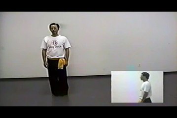 Wing Chun with Terence Yip Bui Tze Part 2