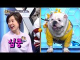 [Ranking Show 1,2,3] 랭킹쇼 1,2,3 - Introducing today's challengers! 20180126