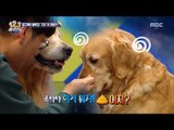 [Ranking Show 1,2,3] 랭킹쇼 1,2,3 - A dog acting to take an advertisement 20180126