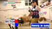 [Section TV] 섹션 TV - Lee Kyung-kyu The only reason keep dogs.! 20160612