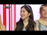 [Section TV] 섹션 TV - Irene, The most beautiful cabbage in the world 20170805