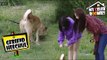 [My Celeb Roomies - GFRIEND] SinBi And EunHa Walk Heechul's Dog 20170616