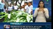 Venezuela's education revolution continues to grow