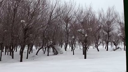 Betaab Valley Pahalgam