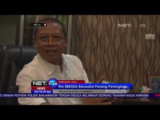 1 Harimau Sumatera Masih Berkeliaran di Kebun Sawit Riau NET24