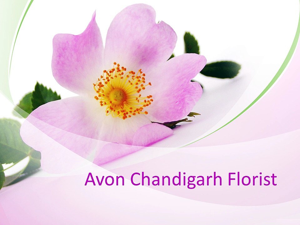 Chandigarh Florist