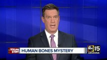 Human bones discovered in Buckeye farm field