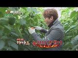 [Lee Kyung-kyu's cooking expedition] Kim sanghyeok vs Cho Jung Min,pick paprika fight! 20160206