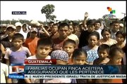 Guatemalan peasants occupying oil palm plantation