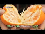 [K-Food] Spot!Tasty Food 찾아라 맛있는 TV - Jeju-style mandarin orange 황금향 20151226